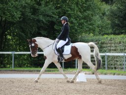 IMG_0823_web